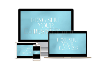 Feng-Shui-Your-Business-Program-By-Marie-Diamond-free-download